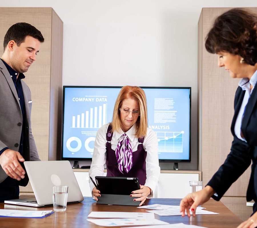 Nullam quis risus eget urna